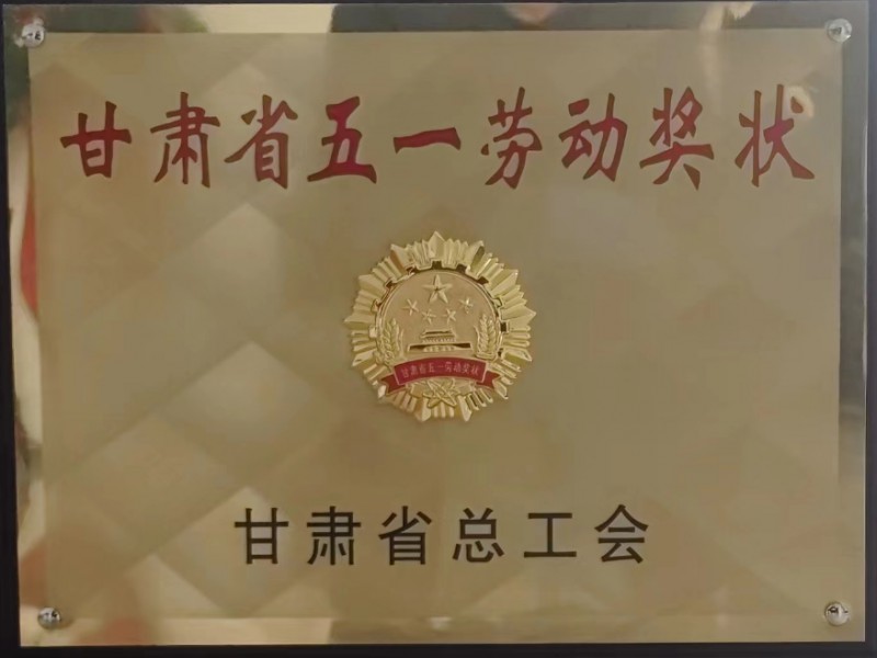 烏魯木齊機(jī)場(chǎng)改擴(kuò)建工程飛行區(qū)場(chǎng)道工程 01 標(biāo)段及圍界附屬工程標(biāo)段順利通過(guò)行業(yè)驗(yàn)收