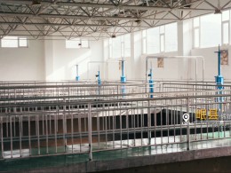烏魯木齊機(jī)場(chǎng)改擴(kuò)建工程飛行區(qū)場(chǎng)道工程 01 標(biāo)段及圍界附屬工程標(biāo)段順利通過(guò)行業(yè)驗(yàn)收